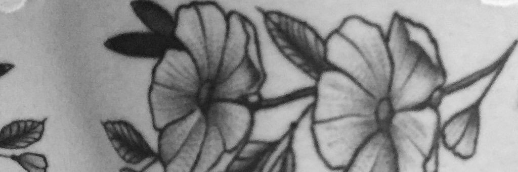 temporary_fg's profile banner image
