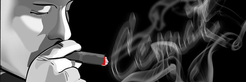 cmlbrbr's profile banner image
