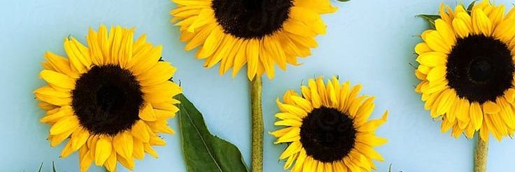 itsmebegeh's profile banner image