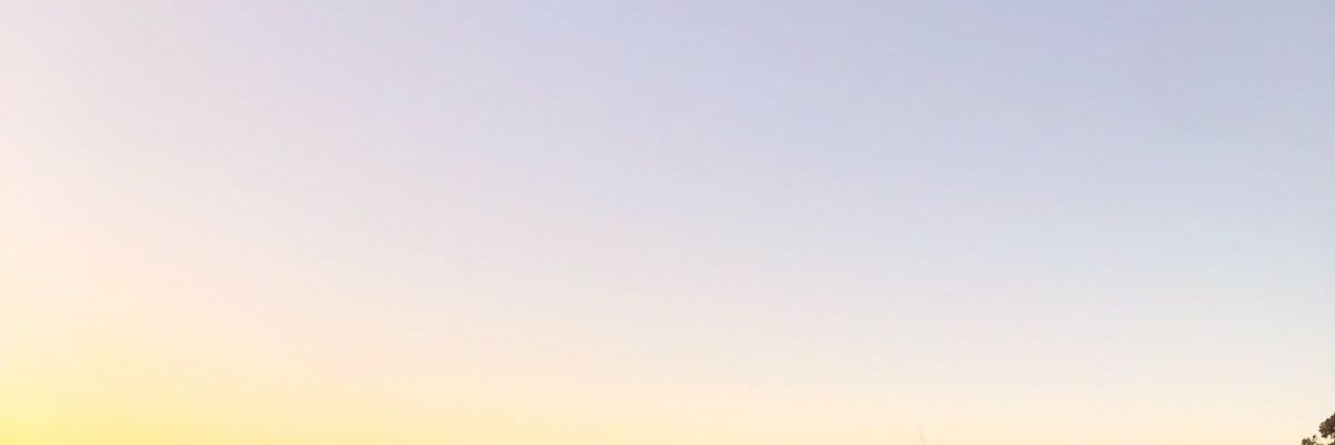 juimich's profile banner image