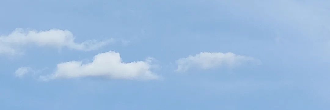 arabella banner