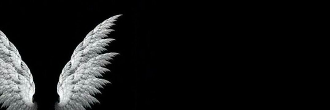seeel19's profile banner image