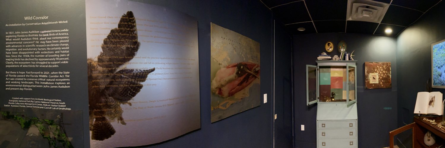 Deborah mitchell banner