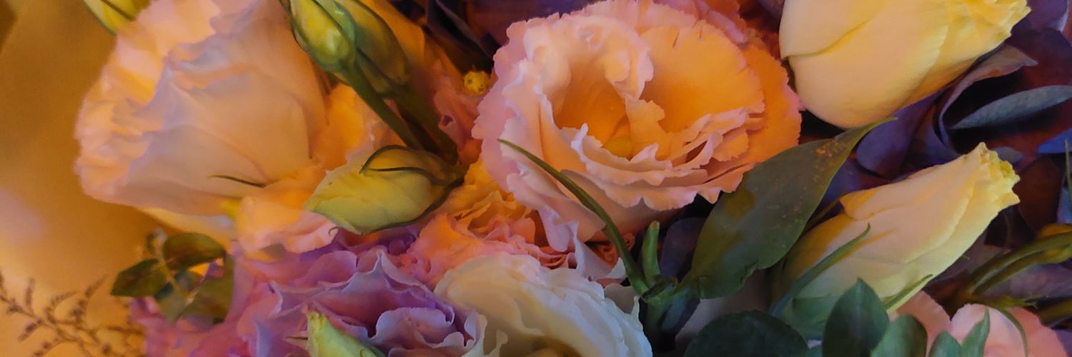 mojimozh's profile banner image
