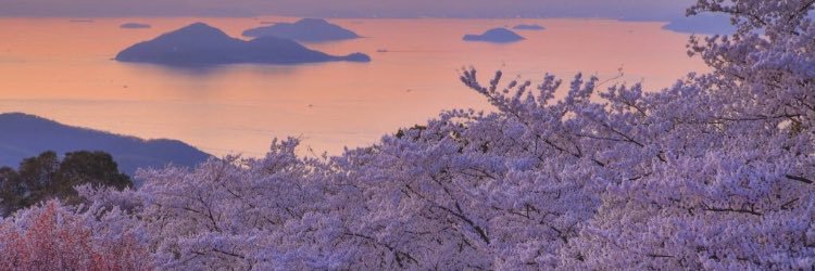 novana_f's profile banner image