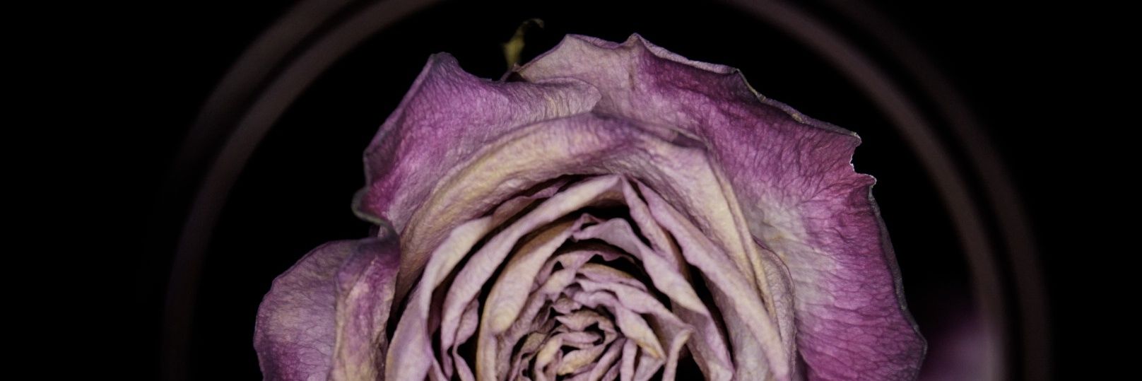 xpantsx's profile banner image