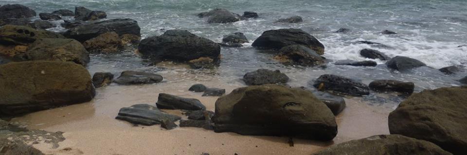 nayin_27's profile banner image