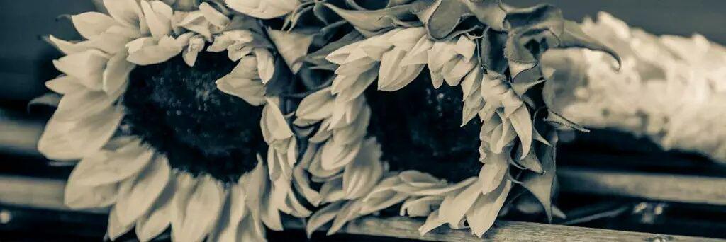 H_yateem's profile banner image