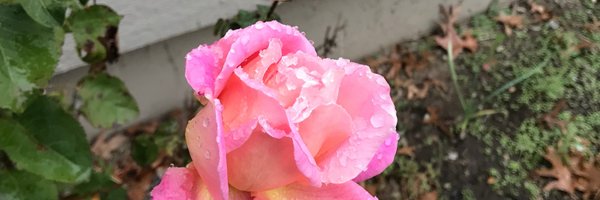 jstickle Profile Banner