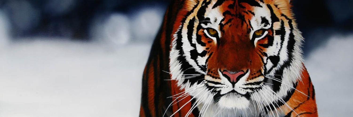 blkmPRIDE's profile banner image