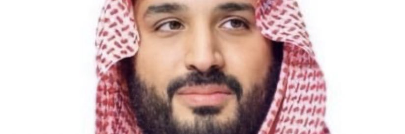 magedabushoareb's profile banner image