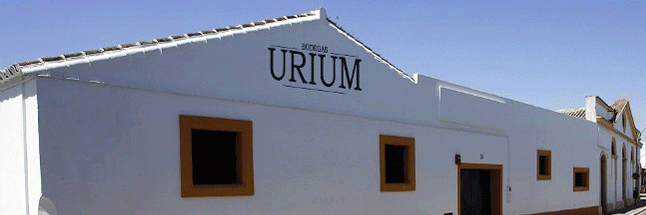 Alonso Ruiz de Urium banner