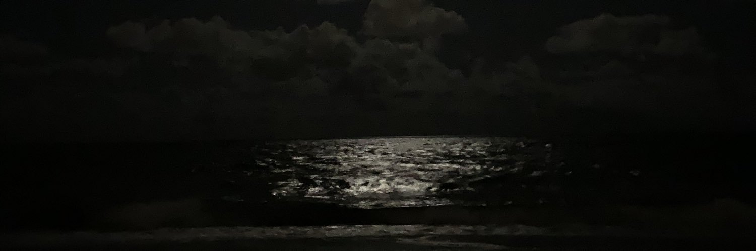 sfisch's profile banner image