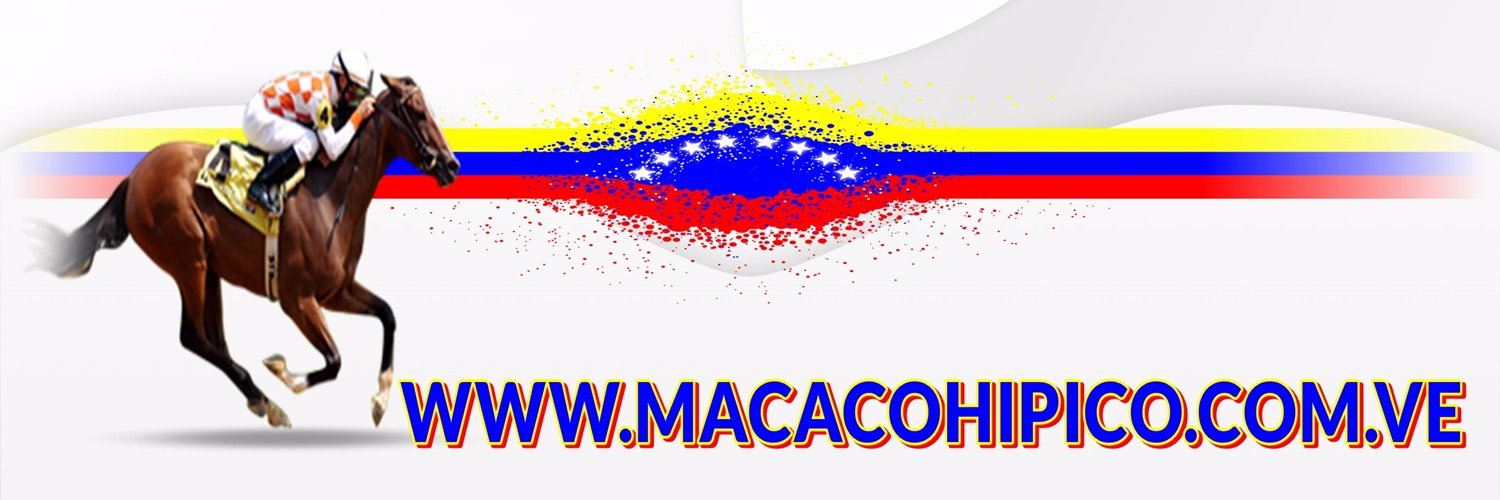 elmacacohipico's profile banner image