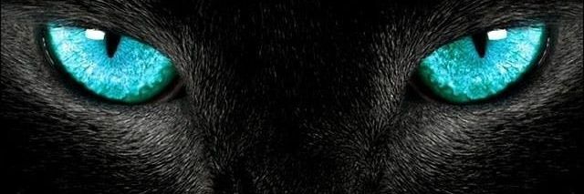 petranitya's profile banner image