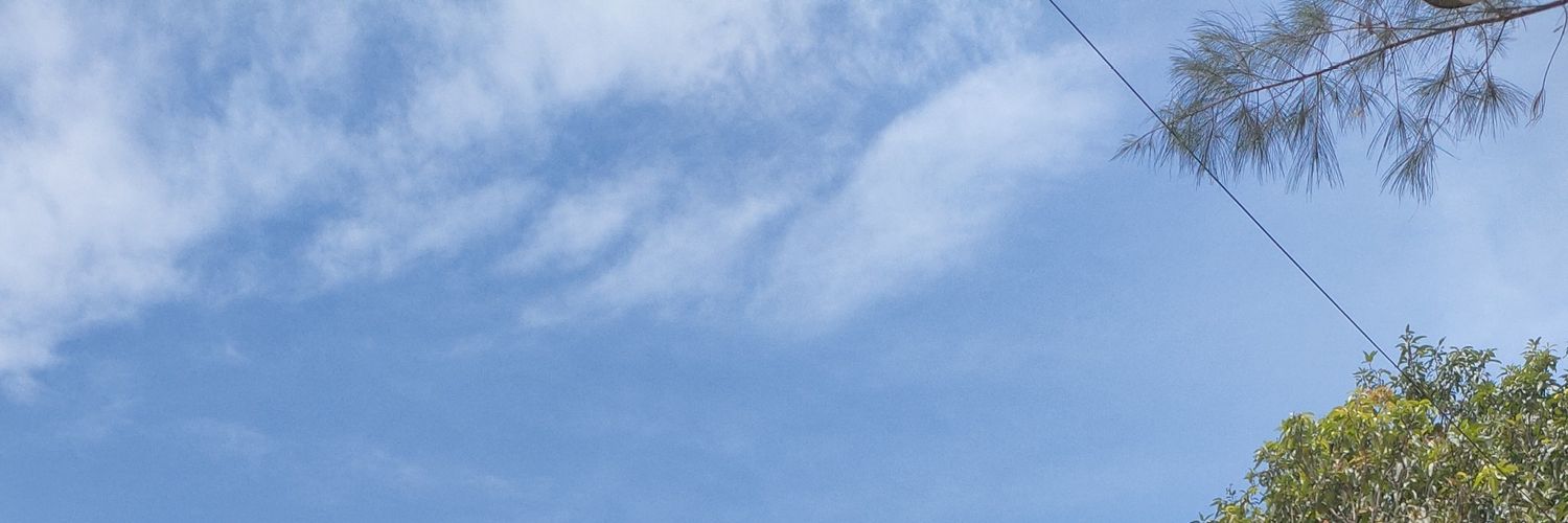 ryniiis's profile banner image