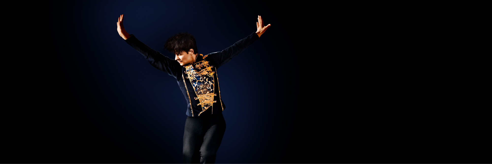 TheIceLegends's profile banner image