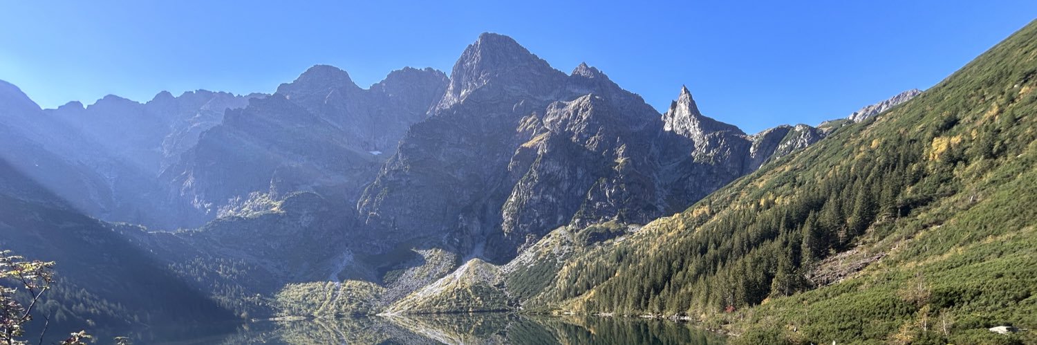 RON FOX 🇵🇱🇮🇪 banner