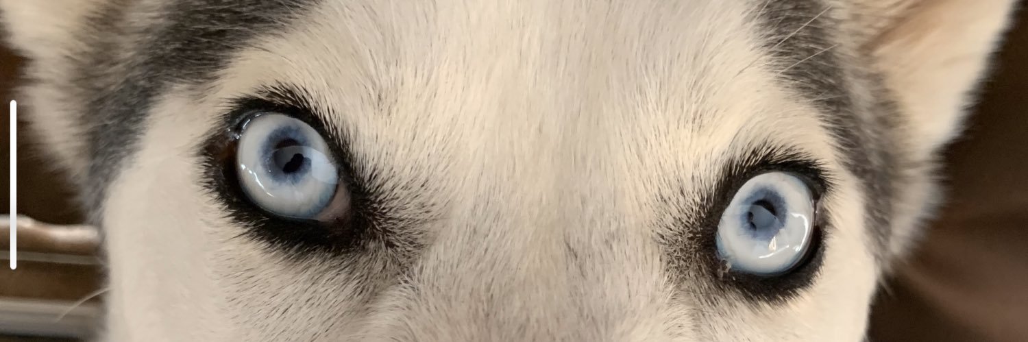 Derek banner