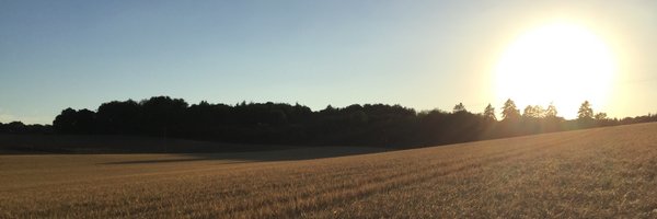 gabewinn Profile Banner