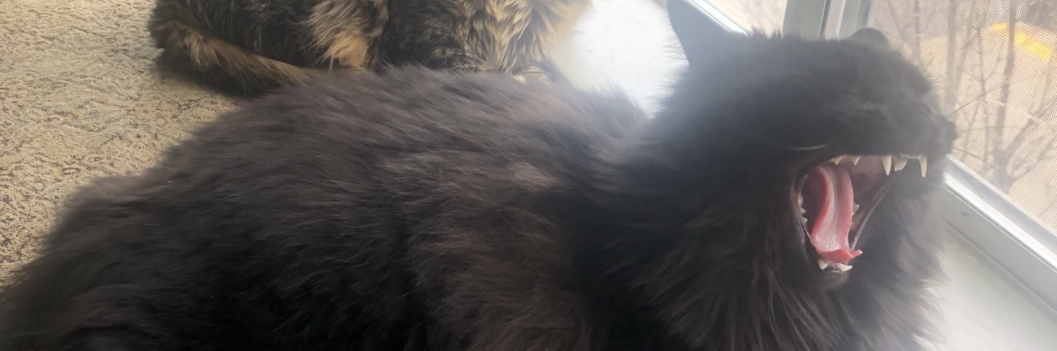 shelden50's profile banner image