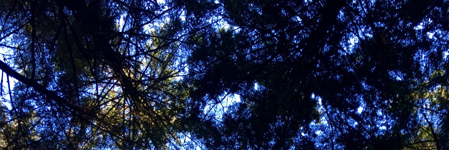 jesarshah's profile banner image