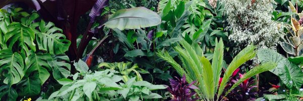 loveswimming Profile Banner