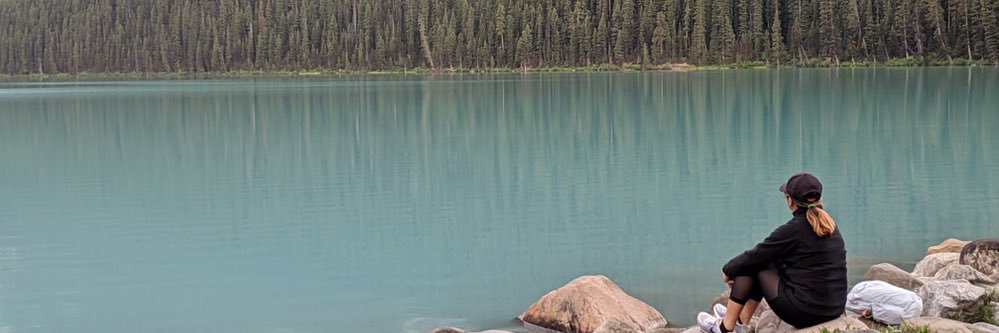 ylpz14's profile banner image
