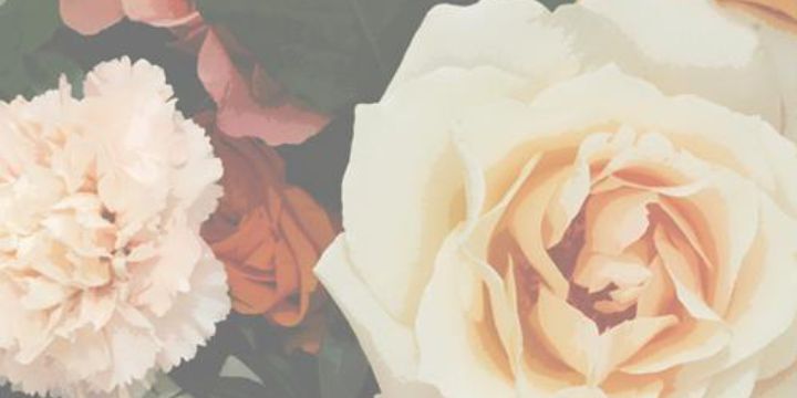 bradaddiction's profile banner image