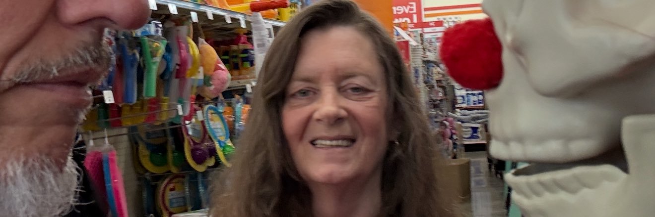 lisadarnell65's profile banner image