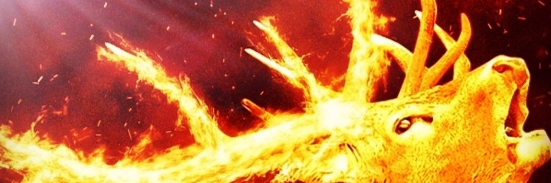 castof8's profile banner image
