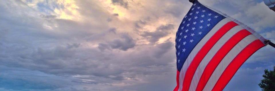 Ashley Daley banner