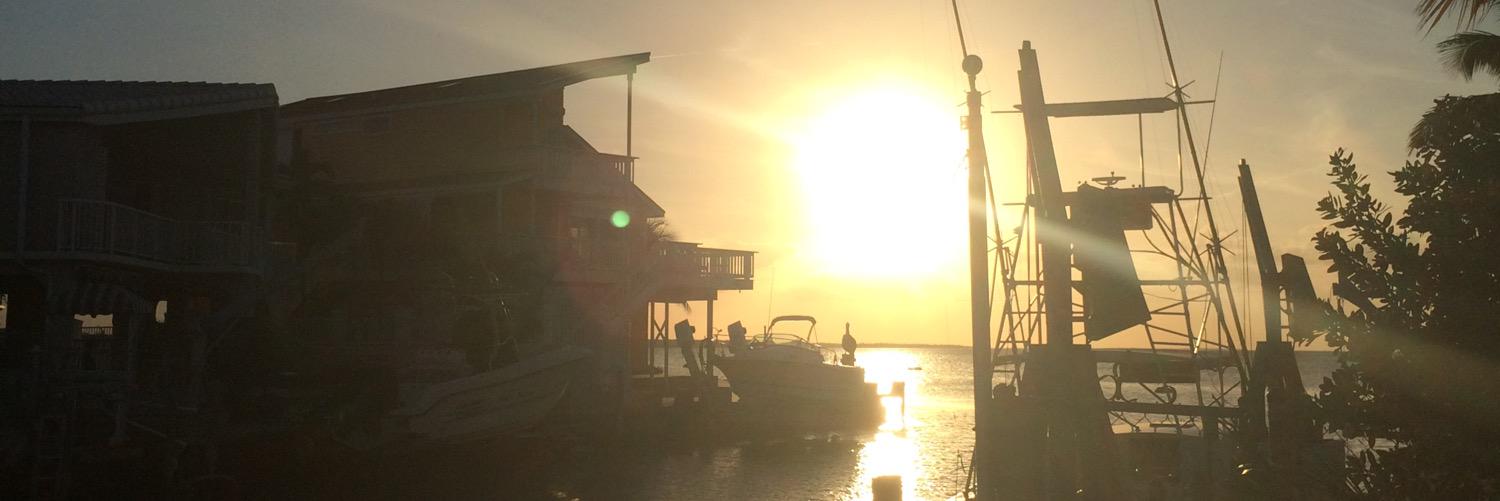 Donielle Jones banner