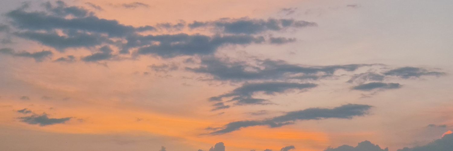 _valepalma_'s profile banner image