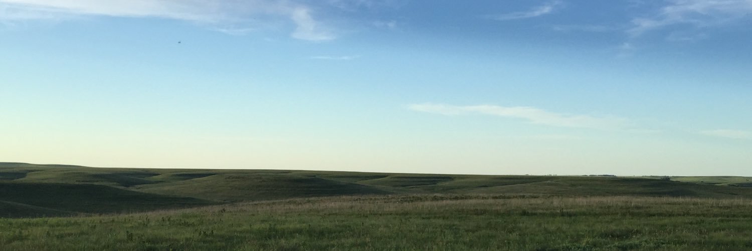 CsCoughlin's profile banner image