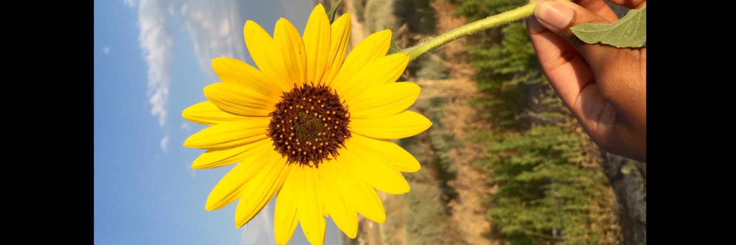 Nizhóní 🌸 banner