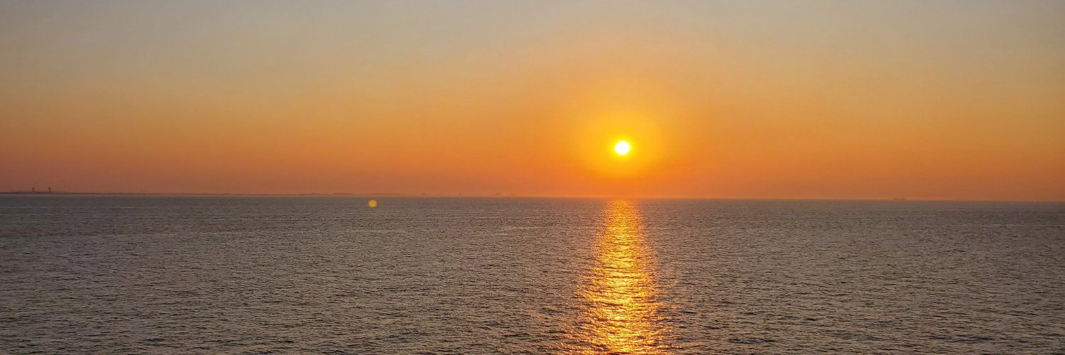 Harriet Gavin banner