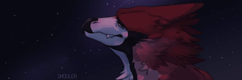 Kodique's profile banner image