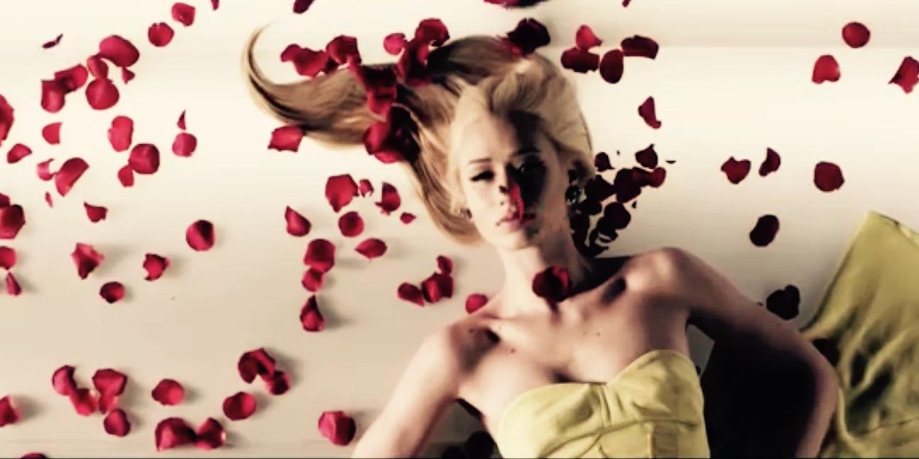 iggy mexico  banner