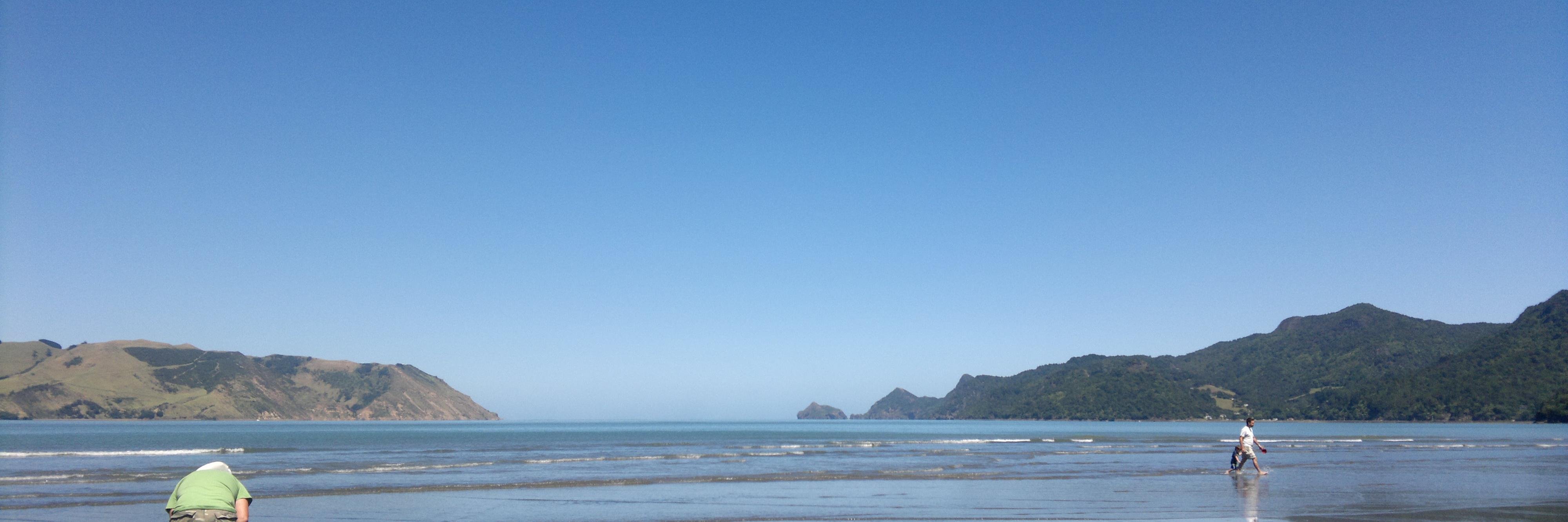 Squiddy banner