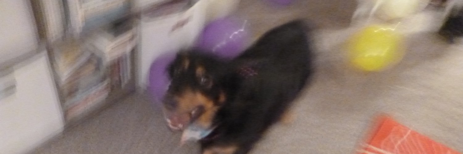 lilyscott__'s profile banner image