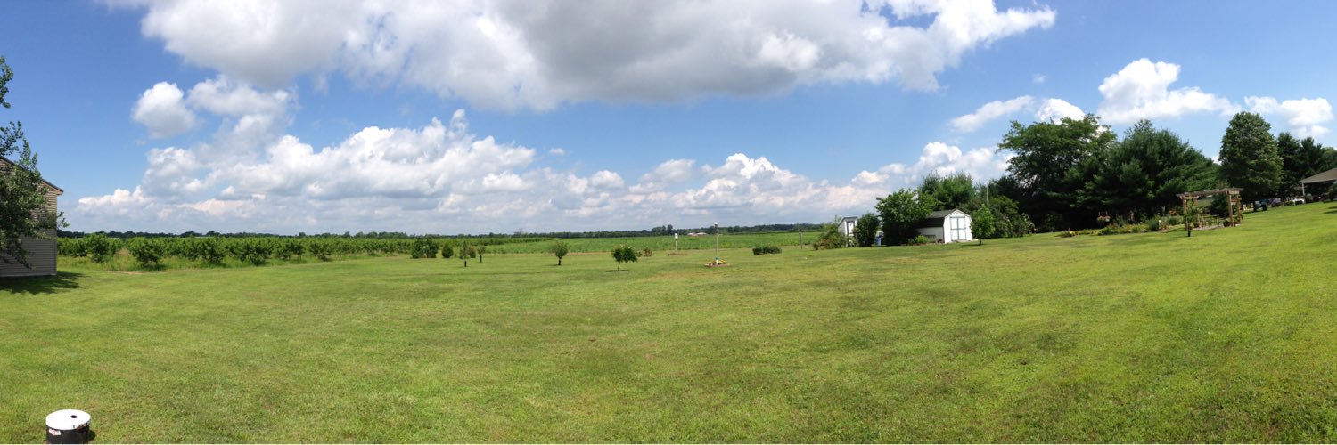 Frank Delguercio banner