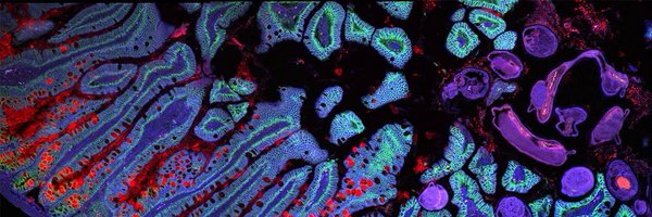 Arslnb Profile Banner