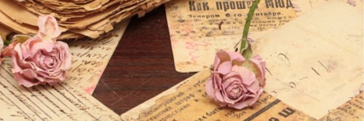 shhetneva's profile banner image