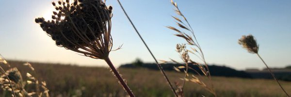 tomkestens Profile Banner