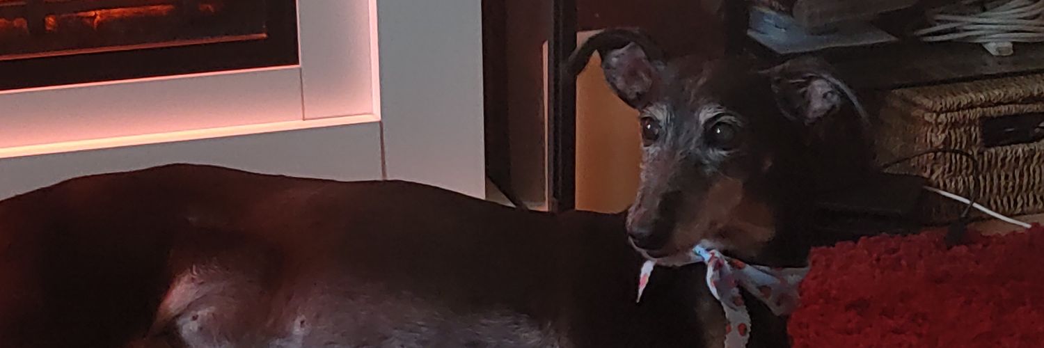 dawnielou69's profile banner image