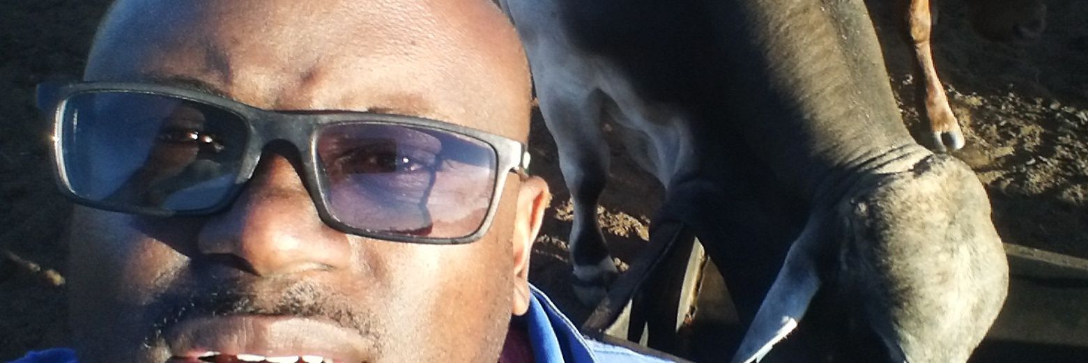 GUNDAFF's profile banner image