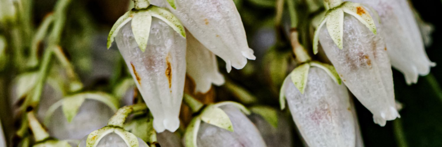 Studio623Photo's profile banner image