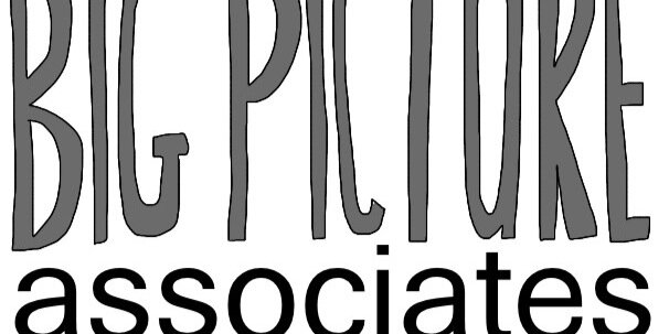BigPictureAssociates banner