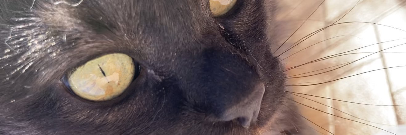 mzambr's profile banner image